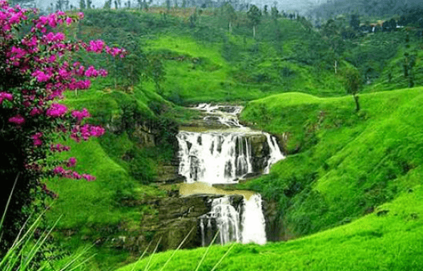 Pedal Through Ella: Tea Estates & Waterfalls